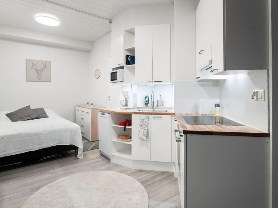 Cozy Roomy Studio Flat Next To Tram Stop @ Kallio ヘルシンキ エクステリア 写真