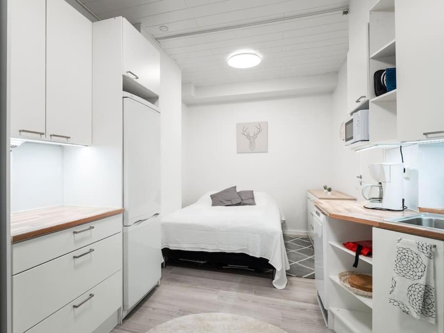 Cozy Roomy Studio Flat Next To Tram Stop @ Kallio ヘルシンキ エクステリア 写真